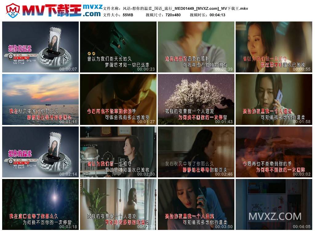 风语-想你的温柔_国语_流行_MED01449